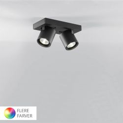 Light-Point Focus Mini 2 loftlampe m/2 spot