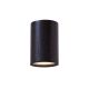 Terence Woodgate SOLID Cylinder Downlight - Sort pigmenteret eg